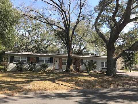 Hibiscus, TEMPLE TERRACE, FL 33617