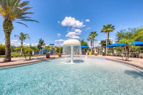Maple Brook, LUTZ, FL 33558