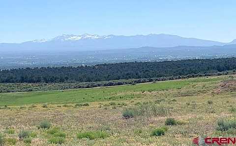Tbd 17.9 Loop Lot 12, Cortez, CO 81321