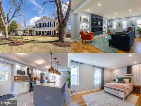 Orville, ALEXANDRIA, VA 22309