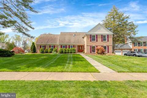 Tarheel, ANNANDALE, VA 22003