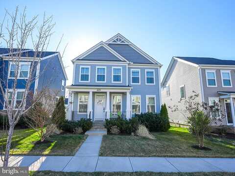 Forsythia, STAFFORD, VA 22554