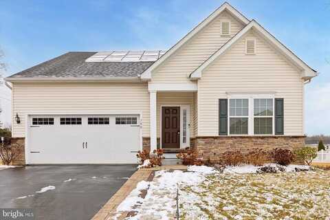 Chestnut, COATESVILLE, PA 19320