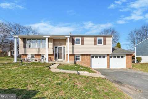 Dori, POTTSTOWN, PA 19464