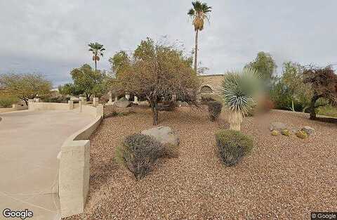 Cholla, FOUNTAIN HILLS, AZ 85268