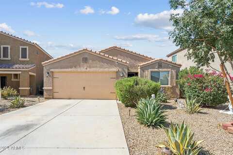 Desert Lily, FLORENCE, AZ 85132