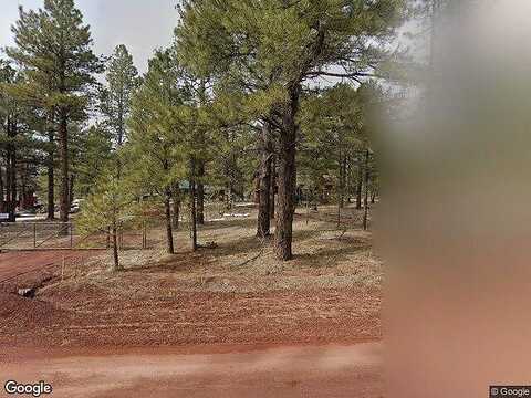 Long Bow, WILLIAMS, AZ 86046