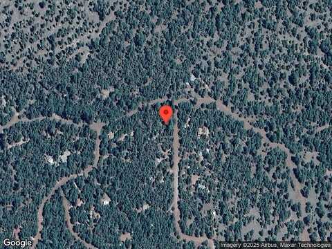Forest, HAPPY JACK, AZ 86024