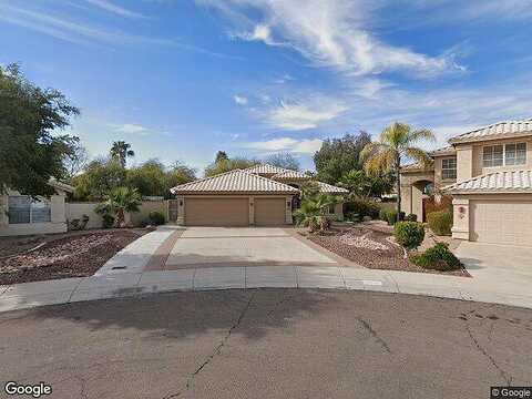Gold Poppy, PHOENIX, AZ 85044
