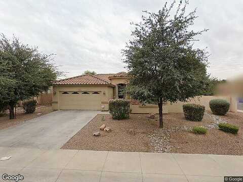 Ebony, CHANDLER, AZ 85286