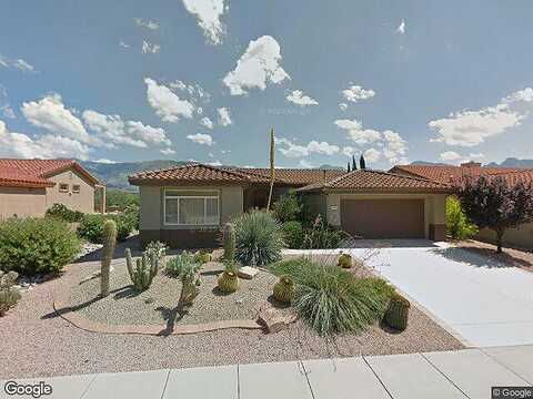 Lobelia, ORO VALLEY, AZ 85755