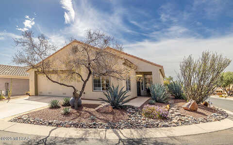 Burrobush, MARANA, AZ 85658