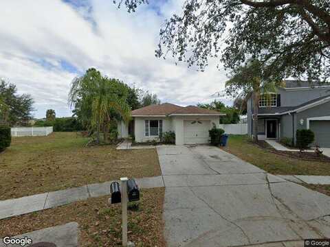 Quarter Horse, RIVERVIEW, FL 33578