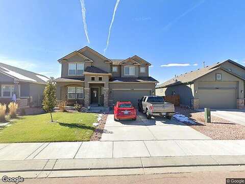 Bigtooth Maple, COLORADO SPRINGS, CO 80925