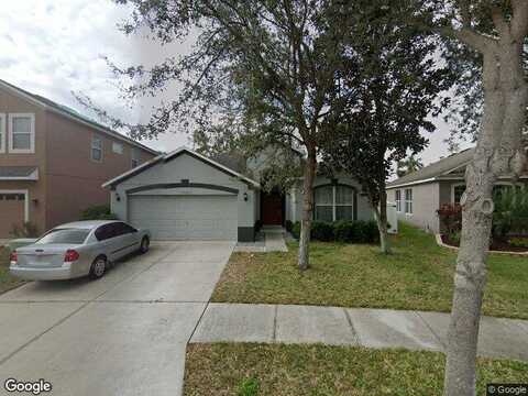 Forest Mere, RIVERVIEW, FL 33578