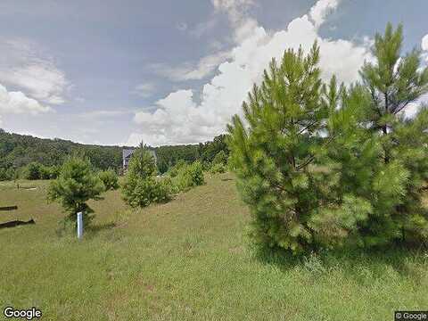 Sunflower, CANTON, GA 30114