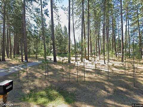 Silver Pine, COLBERT, WA 99005