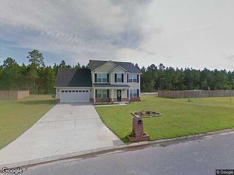 Forest, LUDOWICI, GA 31316