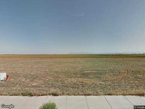Aster, FLORENCE, AZ 85132