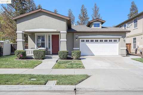 Spruce, BRENTWOOD, CA 94513