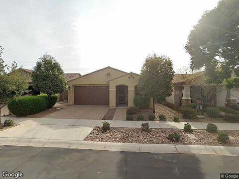 Tiger Lily, MESA, AZ 85212