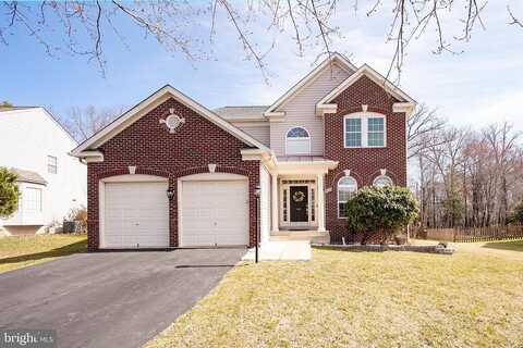 Catia, SPRINGFIELD, VA 22153