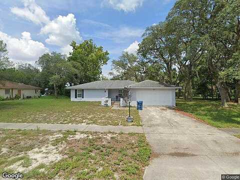 Acorn, SPRING HILL, FL 34606