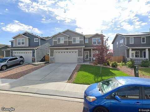Bigtooth Maple, COLORADO SPRINGS, CO 80925