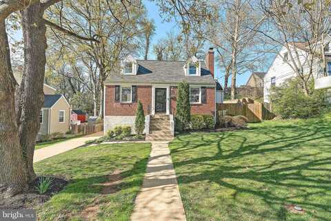 Chestnut, FALLS CHURCH, VA 22042