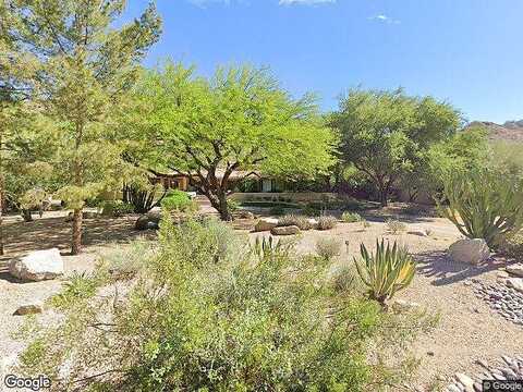 Joshua Tree, PARADISE VALLEY, AZ 85253