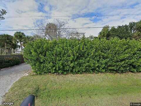 Alligator, VENICE, FL 34293