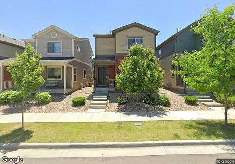 Avocet, LONGMONT, CO 80501