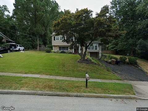 Thrush, DRESHER, PA 19025