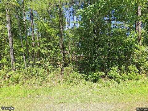 County Road 218, MIDDLEBURG, FL 32068