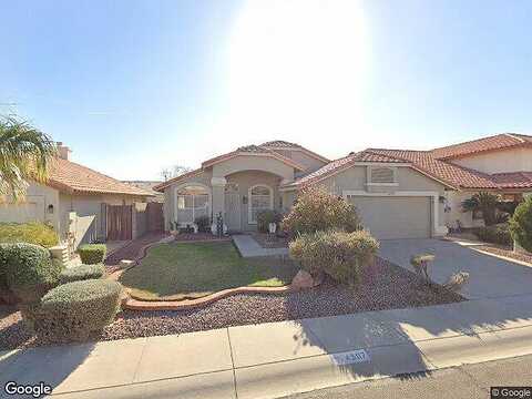 White Aster, PHOENIX, AZ 85044