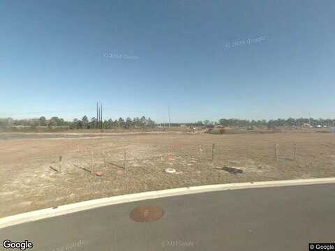 Chestnut Ridge, ORANGE PARK, FL 32065