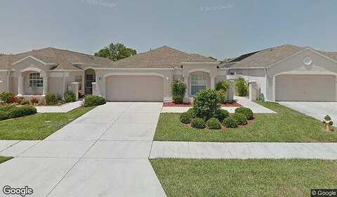 Royal Palm, SPRING HILL, FL 34608