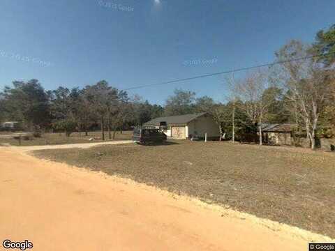 Grape, MIDDLEBURG, FL 32068