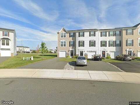 Tulip, GILBERTSVILLE, PA 19525