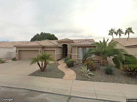 Canary, CHANDLER, AZ 85286