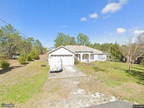 Tinamou, WEEKI WACHEE, FL 34614