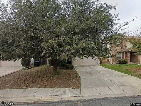 Tiger Paw, SAN ANTONIO, TX 78251