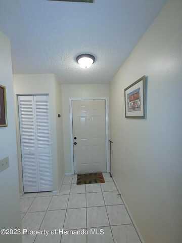 Picketts, WEEKI WACHEE, FL 34613