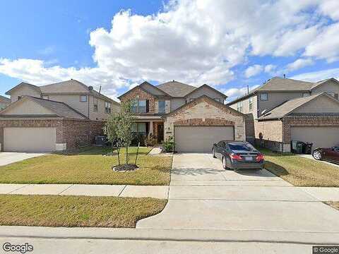 Cypress Shumard Oak, CYPRESS, TX 77433