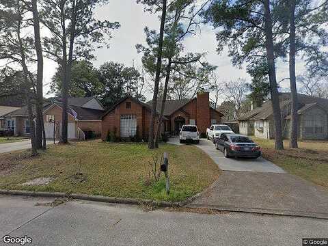 Fern Park, KINGWOOD, TX 77339