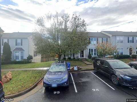 Chokeberry, ASHBURN, VA 20147