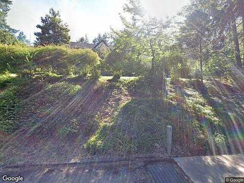 Vine Maple, EUGENE, OR 97405