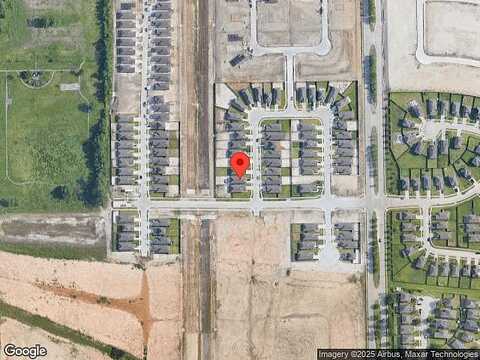 Vinca Minor, HOUSTON, TX 77016