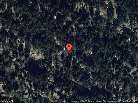 Whistling Swan, BELLINGHAM, WA 98229