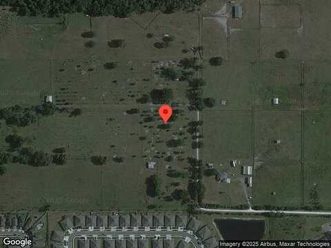Wallflower, WESLEY CHAPEL, FL 33545